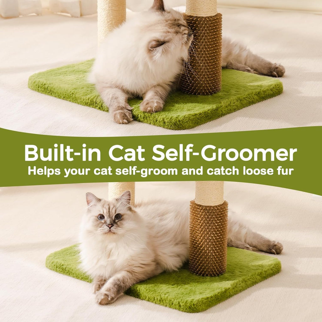 Cat Furniture Promoting Exercise, Comfort, and Calm