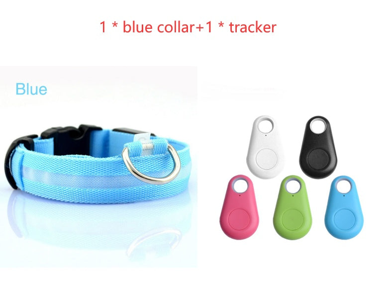 Bright LED Dog Collar for Safe Night Walks
