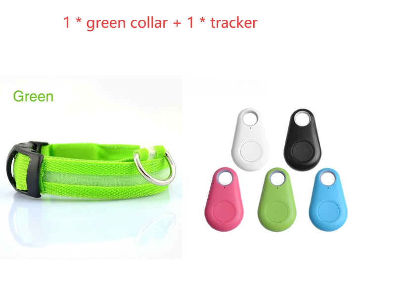 Bright LED Dog Collar for Safe Night Walks