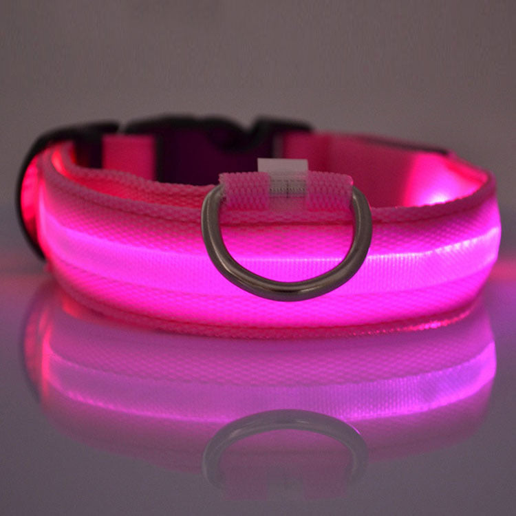 Bright LED Dog Collar for Safe Night Walks