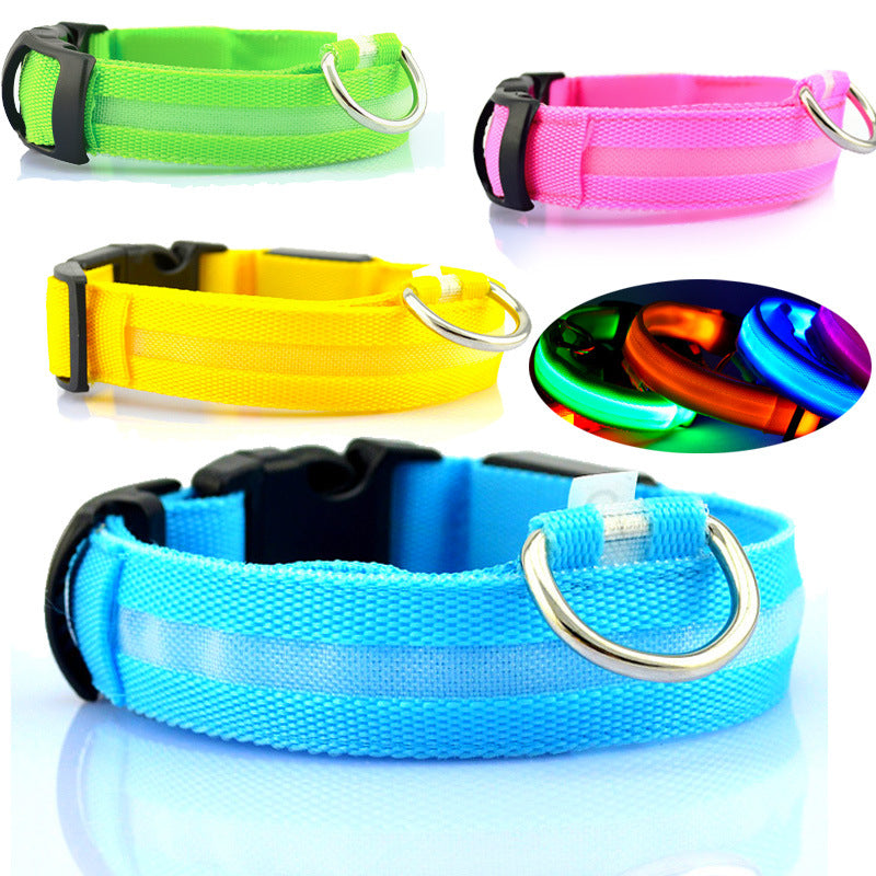 Bright LED Dog Collar for Safe Night Walks