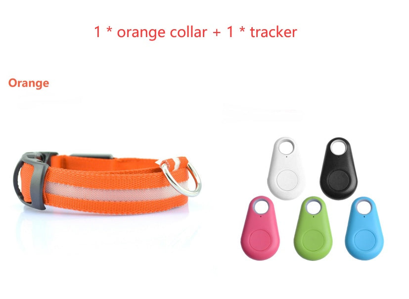 Bright LED Dog Collar for Safe Night Walks