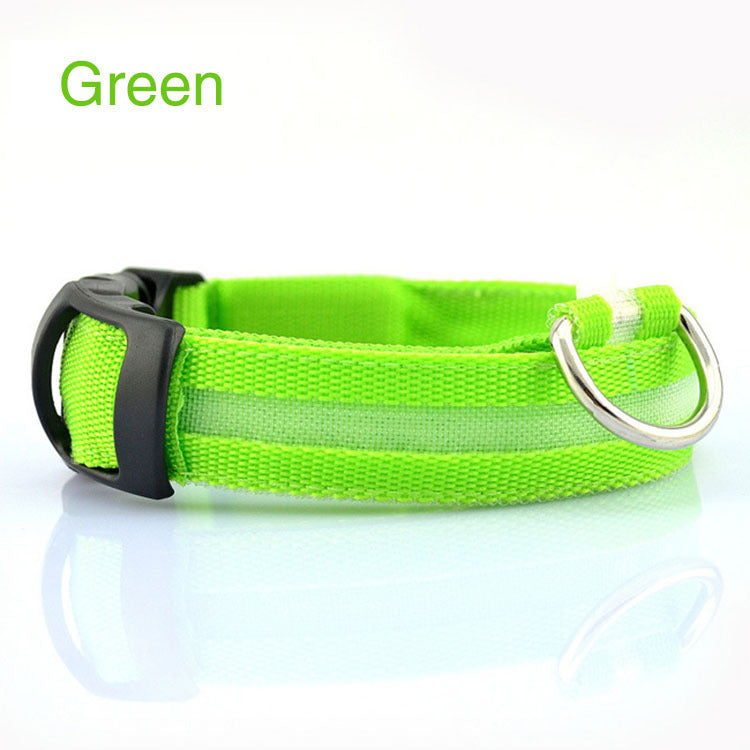 Bright LED Dog Collar for Safe Night Walks