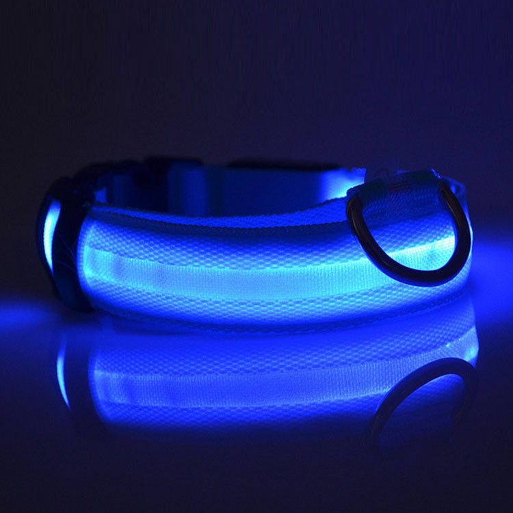 Bright LED Dog Collar for Safe Night Walks