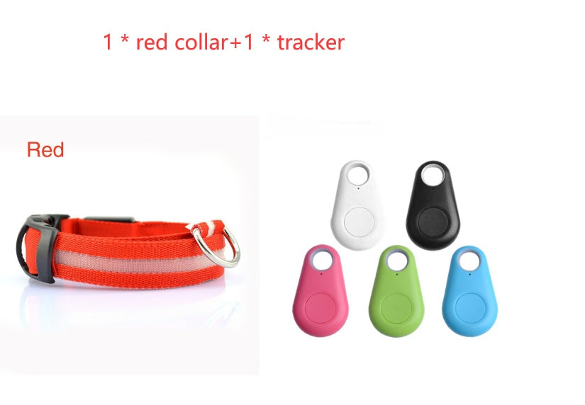 Bright LED Dog Collar for Safe Night Walks