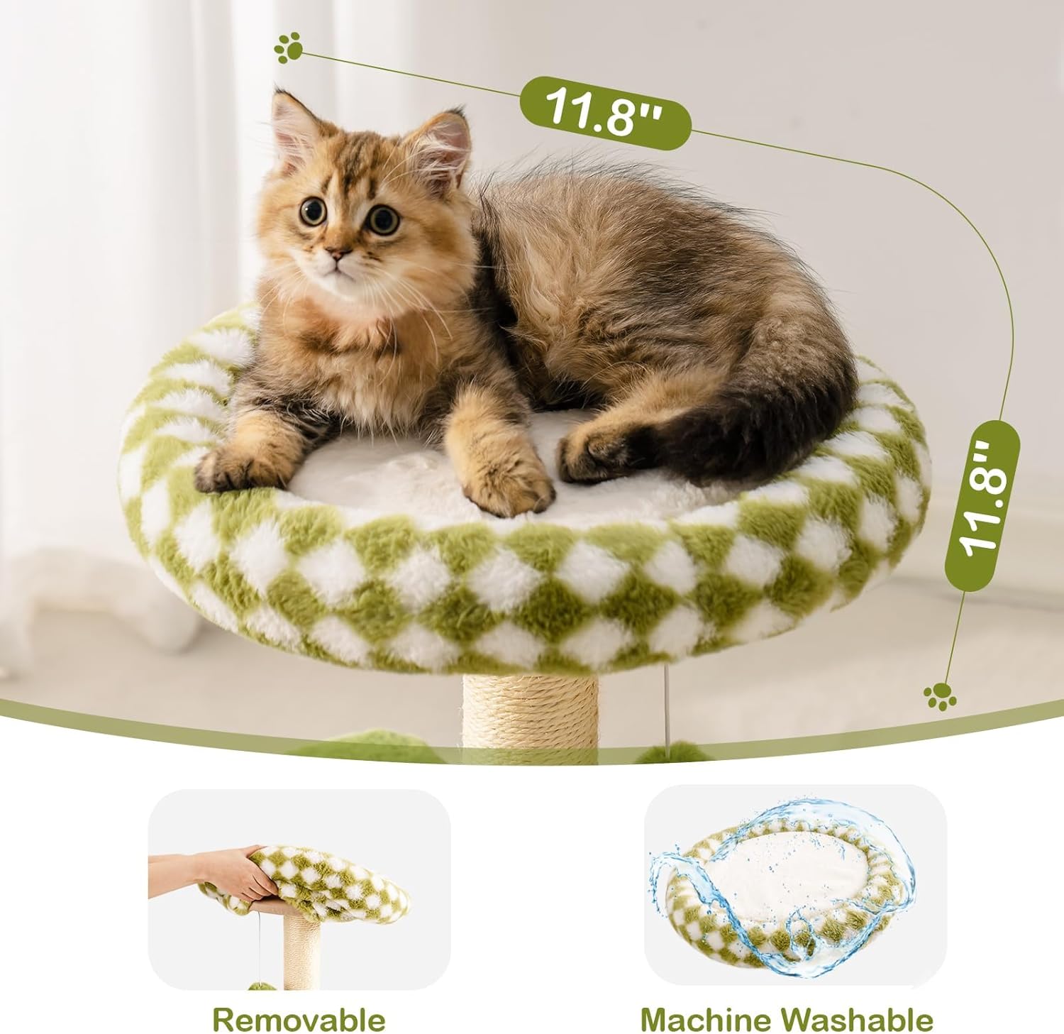 Cat Furniture Promoting Exercise, Comfort, and Calm