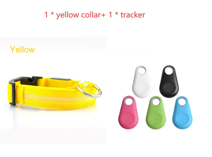 Bright LED Dog Collar for Safe Night Walks
