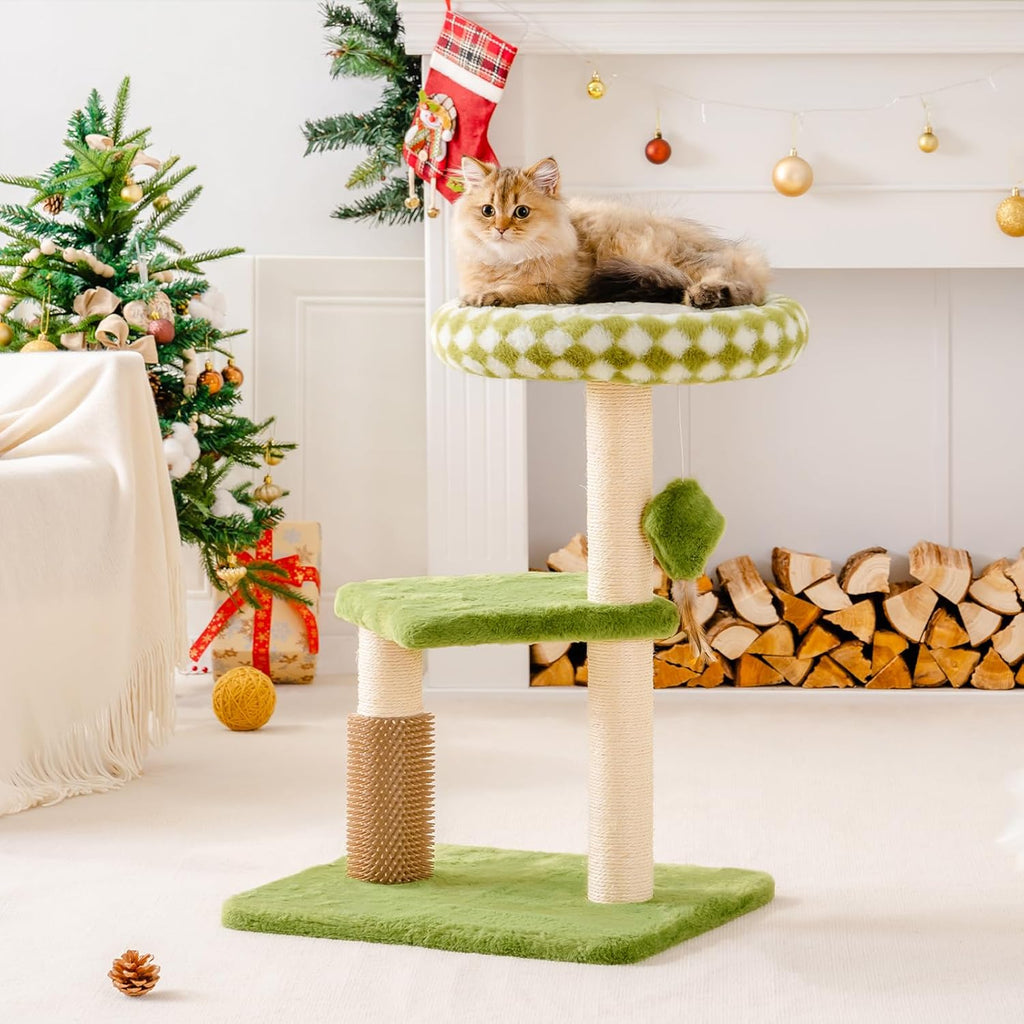Cat Furniture Promoting Exercise, Comfort, and Calm