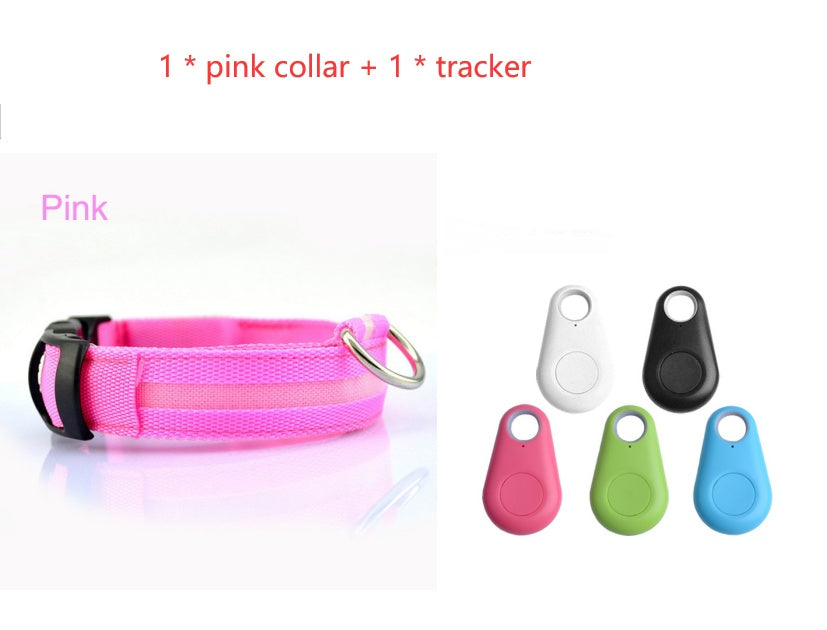 Bright LED Dog Collar for Safe Night Walks