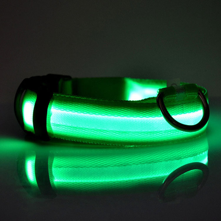 Bright LED Dog Collar for Safe Night Walks