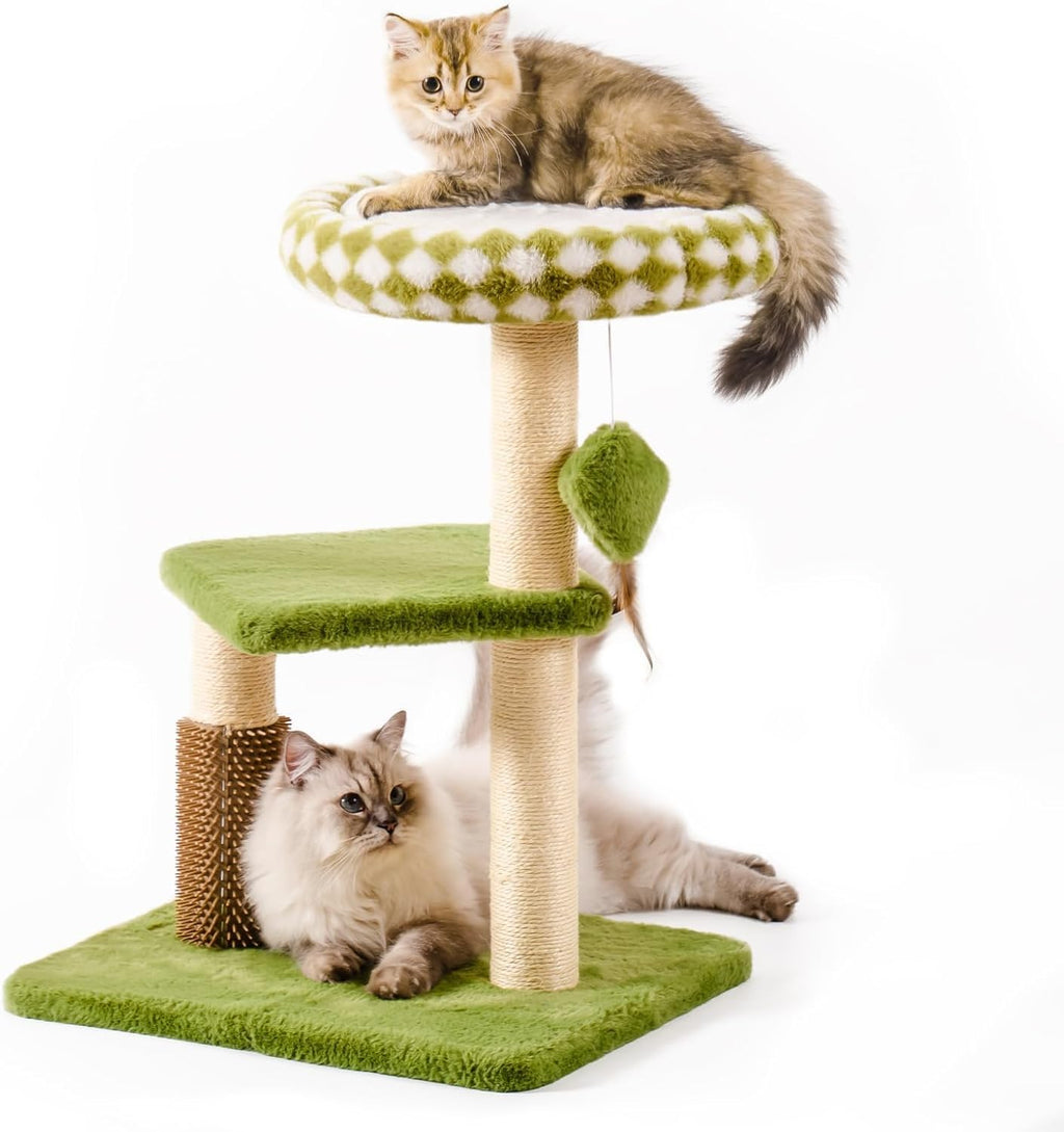 Cat Furniture Promoting Exercise, Comfort, and Calm