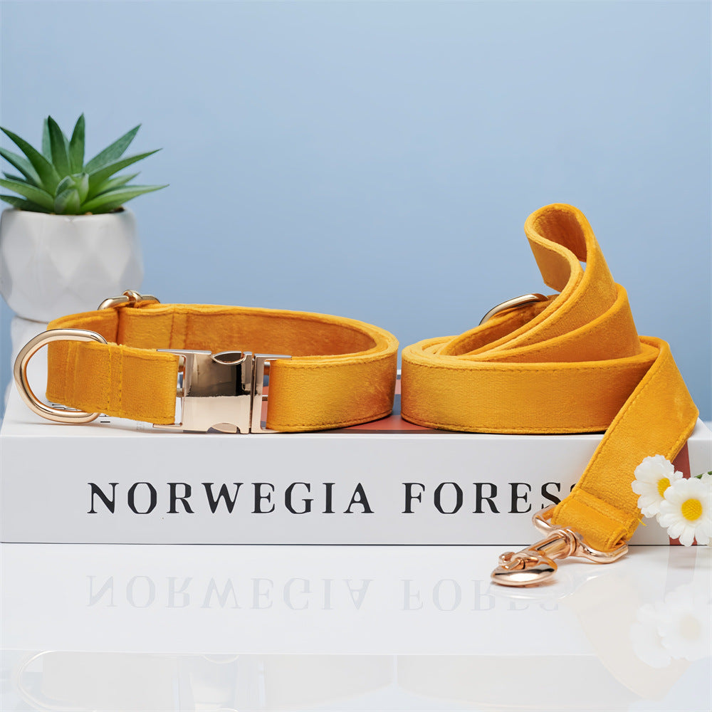 Stylish Dog Collar & Leash for Happy Walks