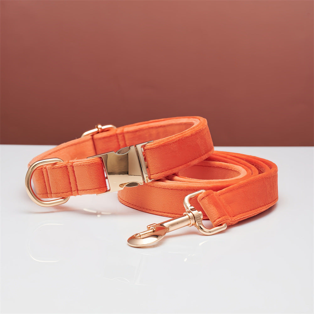 Stylish Dog Collar & Leash for Happy Walks