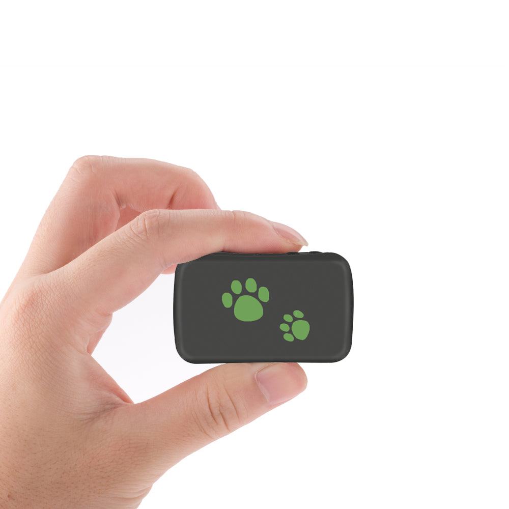 Keep Pets Safe with Easy GPS Locator